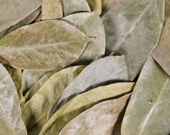 Organic Dry Soursop Leaf | Soursop powder | Annona muricata