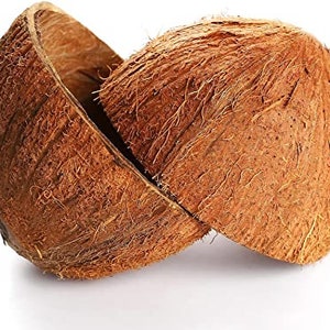 Può includere: Due metà di guscio di noce di cocco, con la buccia esterna ruvida e marrone ancora attaccata. I gusci sono leggermente aperti, rivelando l'interno della noce di cocco.