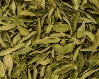 Feuille de curry bio | Poudre de feuilles de curry | Naturel Ceylan Murraya koenigii | Feuilles de curry séchées