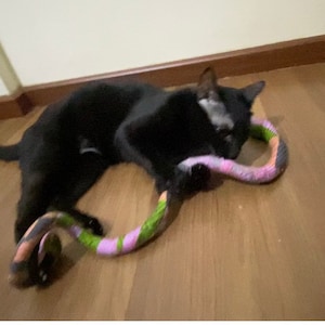 Cat Toy Catnip kicker Giant Snaky