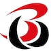 Broadridingwear store logo