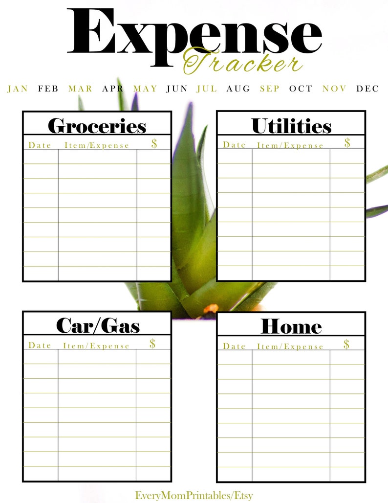 Budget Binder Printable Budget Planner Digital Budget Sheet Budget Tracker Expense Tracker Savings Fund Checkbook Ledger image 3