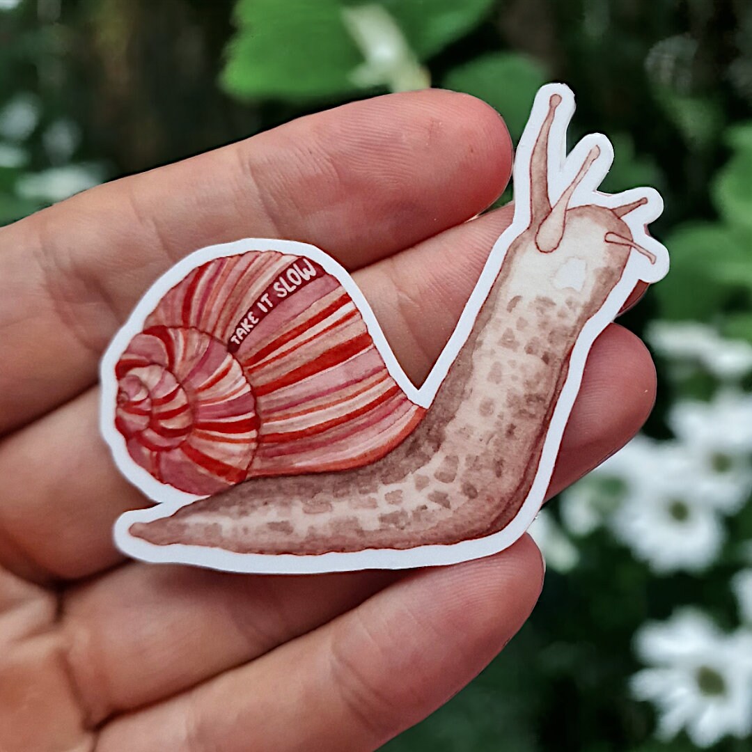 Glossy Vinyl Sticker Take is Slow - Etsy