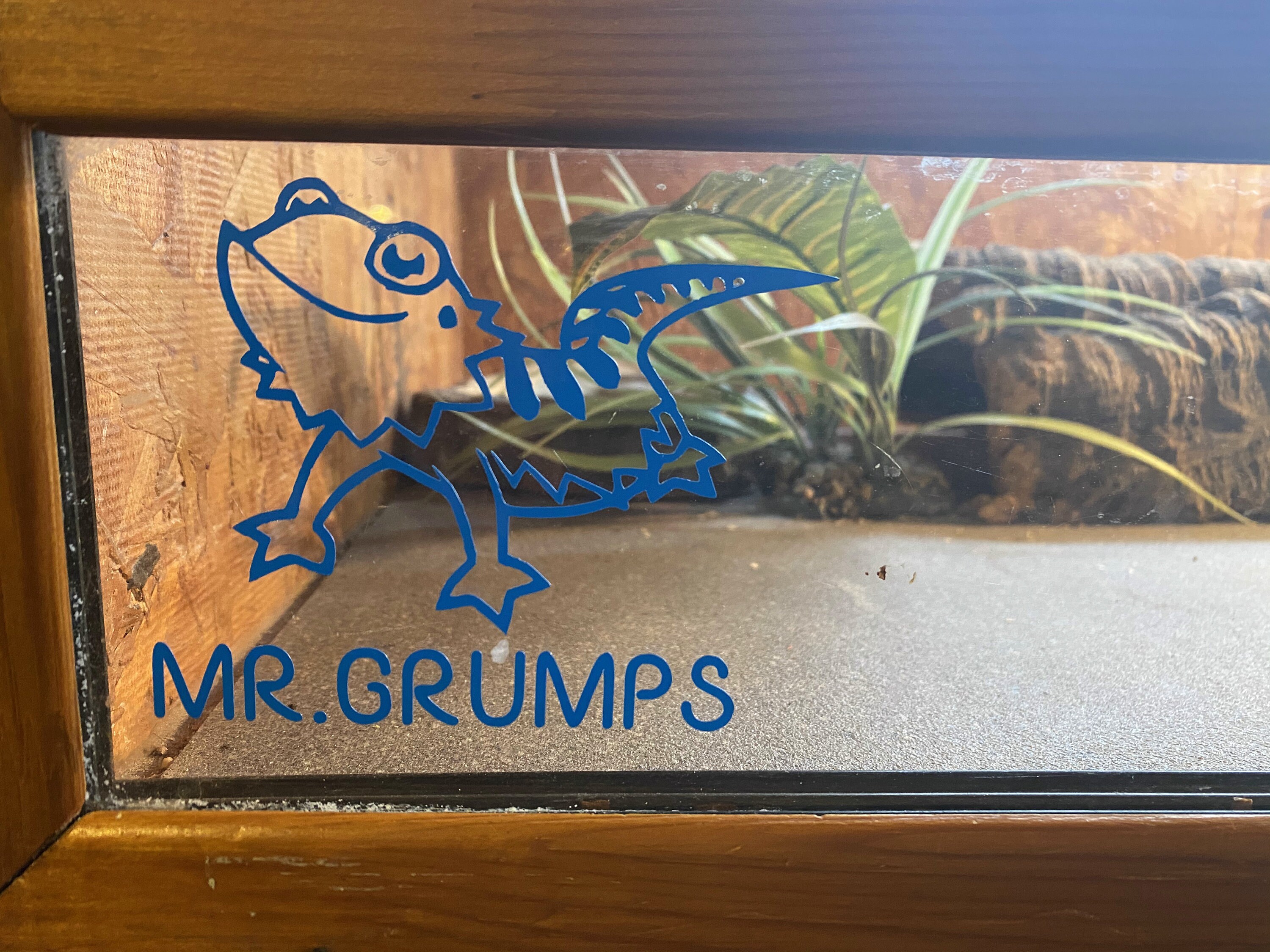 Custom Reptile Vivarium custom decal sticker Etsy