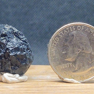 May include: A black, rough, and irregularly shaped rock, approximately the size of a US quarter.