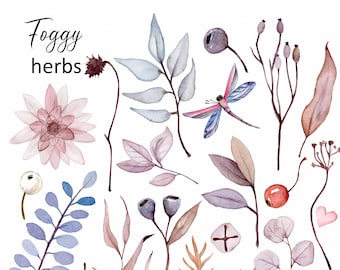 Acuarela hierbas silvestres clipart. Descarga digital de clipart floral
