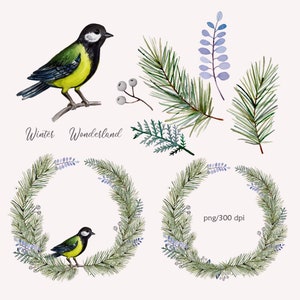 Mésange bleue d’hiver PNG oiseau. Joyeux couronne de Noël avec oiseau, dessins de vacances de sublimation.