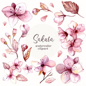 Clipart acquerello Sakura.  Uccelli sul fiore di ciliegio , clipart digitale di San Valentino