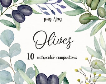 Watercolor olive clipart. Olive wreathes and branches png. Mediterranean Wedding clipart.