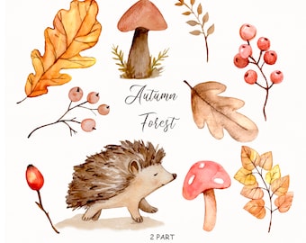 Może przedstawiać: Akwarelowa ilustracja z elementami jesieni. Zawiera jeża, grzyby, liście i jagody w odcieniach brązu, pomarańczy i czerwieni. Tekst "Autumn Forest" jest obecny. Obraz jest oznaczony "2 PART" i "FunArtSpace".
