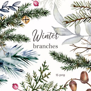 Rami invernali ad acquerello. Clipart di Natale. Albero di Natale png. Set di acquerelli invernali. Winter Greenery Leaves Branch Clip Art
