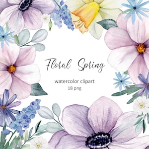 Fiori estivi viola e rosa. Clipart di fiori di anemone acquerellati.