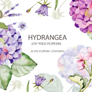 Watercolor hydrangea. Wild flowers  clipart. Floral clipart. Wedding rustic clipart. Elegant Blooms png