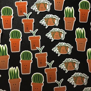 Pack 4 Sticker "Photosynthesis Gang"