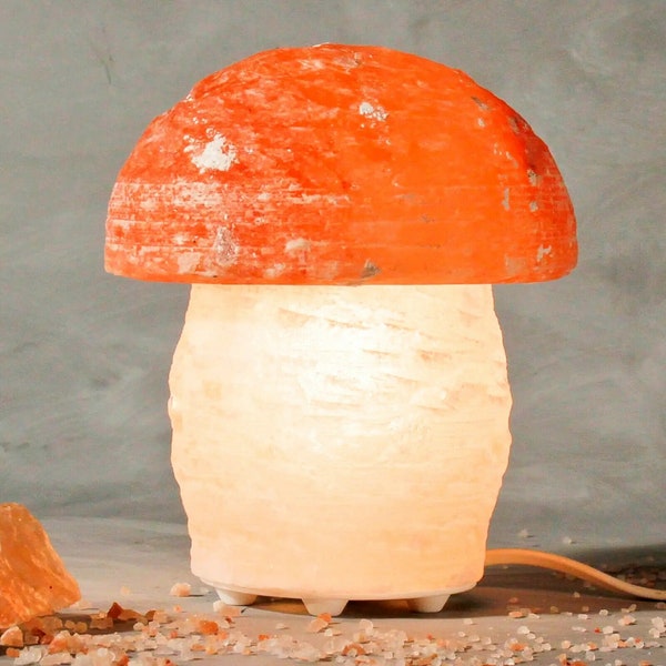 3,5kg SALZKRISTALL Lampe 16cm PILZ Dekoration Himalaya inkl. Leuchtmittel Herbstliches Licht Meditation Entspannung Ambiente Eingang Wohnen