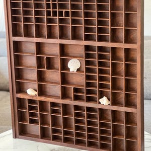 May include: A rectangular wooden printer's tray with numerous small compartments of varying sizes. The dark brown wood frame contains three white seashells placed individually within separate cubbies in the middle section of the display case.