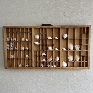 May include: A rectangular wooden printer's tray with multiple small compartments, each containing a variety of white and light-colored seashells. The wooden frame is light brown with a visible grain, and the grid structure is organized into three sections.