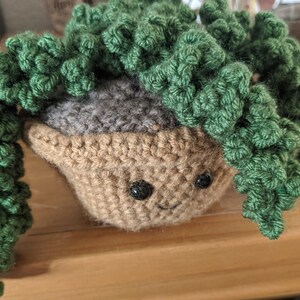 Crochet succulent