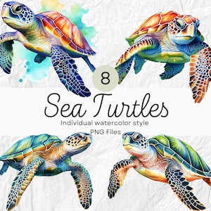 Aquarelle tortue de mer Clipart, océan PNG pour un usage Commercial POD, créatures de la mer Clipart pour sublimation Junk journaux & Scrapbooking