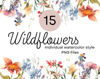 15 Watercolor Wildflower Clipart, Botanical PNG (Digital Download)