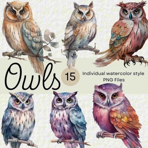 15 aquarel uilen clip arts, uil PNG voor commercieel en POD gebruik, zomer transparante vogels illustraties voor scrapbooking