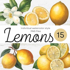 15 Aquarell Zitronen Clip Arts, Citrus PNG für kommerzielle und POD-Nutzung, Sommer transparente Zitrone Obst Illustrationen für Scrapbooking