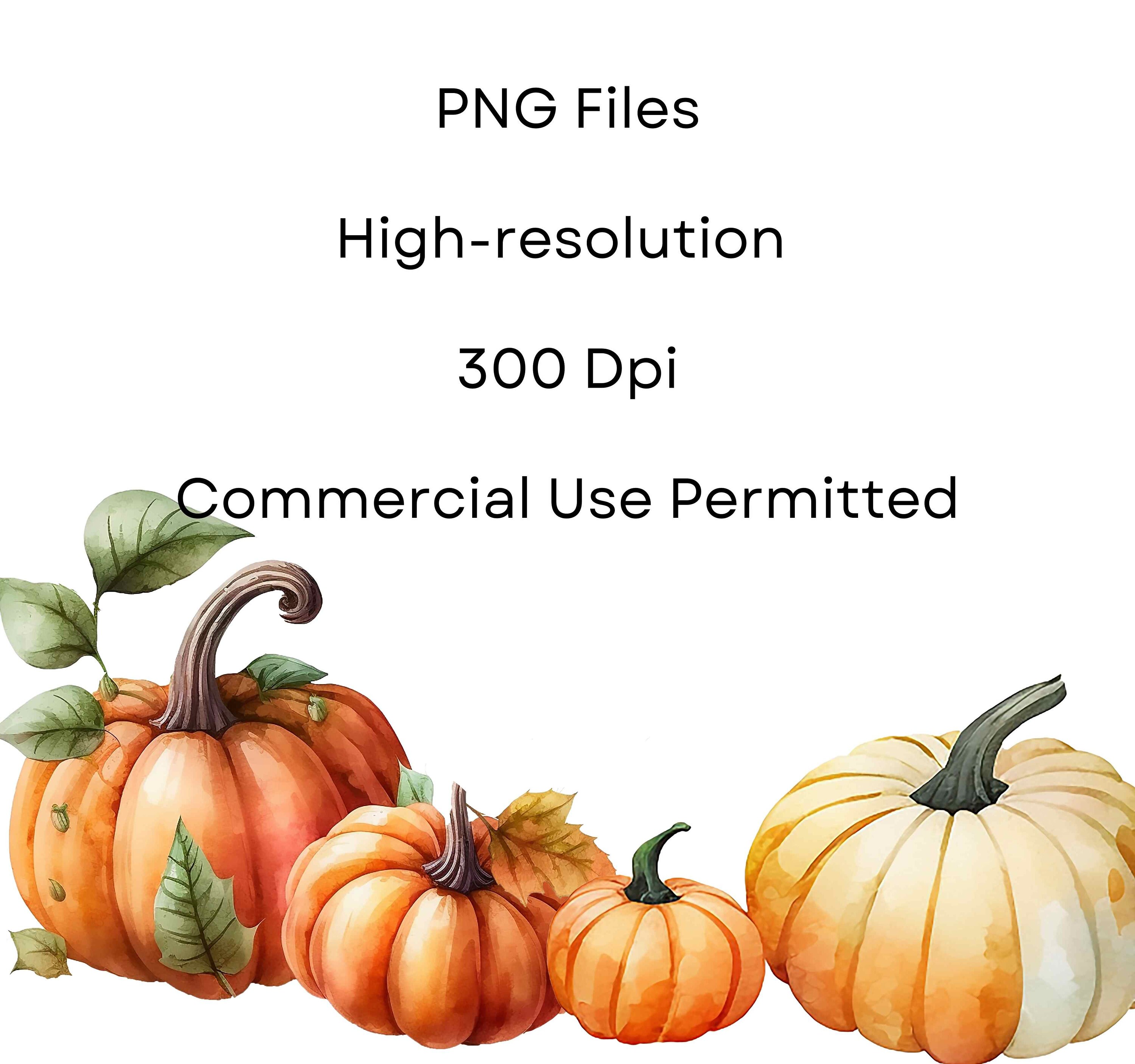 Watercolor Pumpkin Clipart, Fall PNG Graphics (digital Download) - Etsy