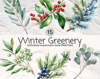 Watercolor Winter Greenery Bundle Clipart, Evergreen Foliage PNG For Commercial Use POD, Botanical Clipart For Sublimation, Scrapbooking