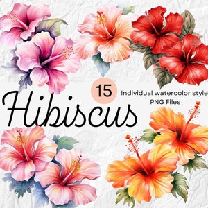 Aquarell Hibiskus Blumen Clipart, tropische Blumen PNG für kommerzielle Nutzung und POD, Hibiskus PNG für Sublimation, Hibiskus Bouquet
