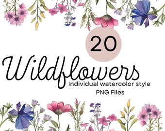 20 Watercolor Wildflower Clipart, Botanical PNG (Digital Download)