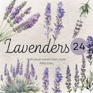 24 Watercolor Lavender Clip Arts, Purple Flower PNG For Commercial POD Use, Summer Transparent Lavender Floral Illustrations Scrapbooking