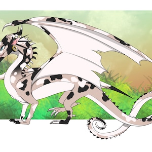 Rainwing dragon adopt (Wings of Fire)PAYMENT→ PAYPAL