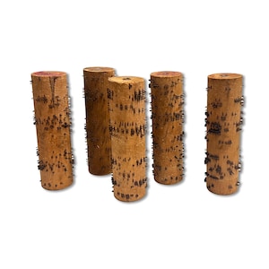 Pode incluir: Cinco objetos cilíndricos de madeira com cor castanho-clara e textura áspera. Cada objeto tem pequenas protuberâncias escuras e um topo castanho-avermelhado. Os objetos estão dispostos sobre um fundo branco.