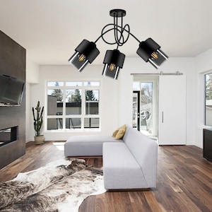 Ceiling lamp ceiling light black 3 230V Loft