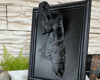 Framed Venus de Milo / 3D printed