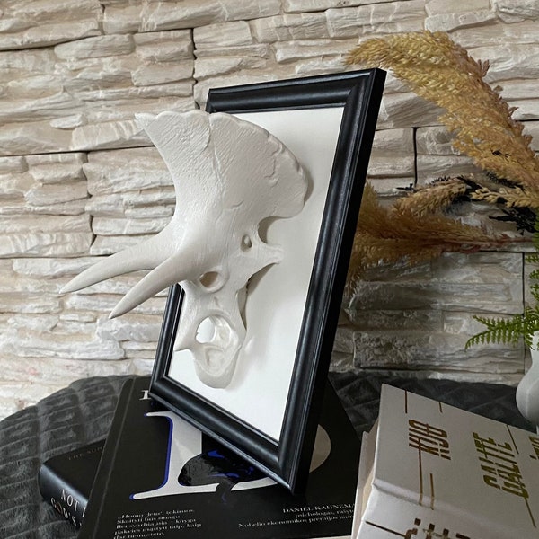 Framed Triceratops Skull Wall Art / 3D printed