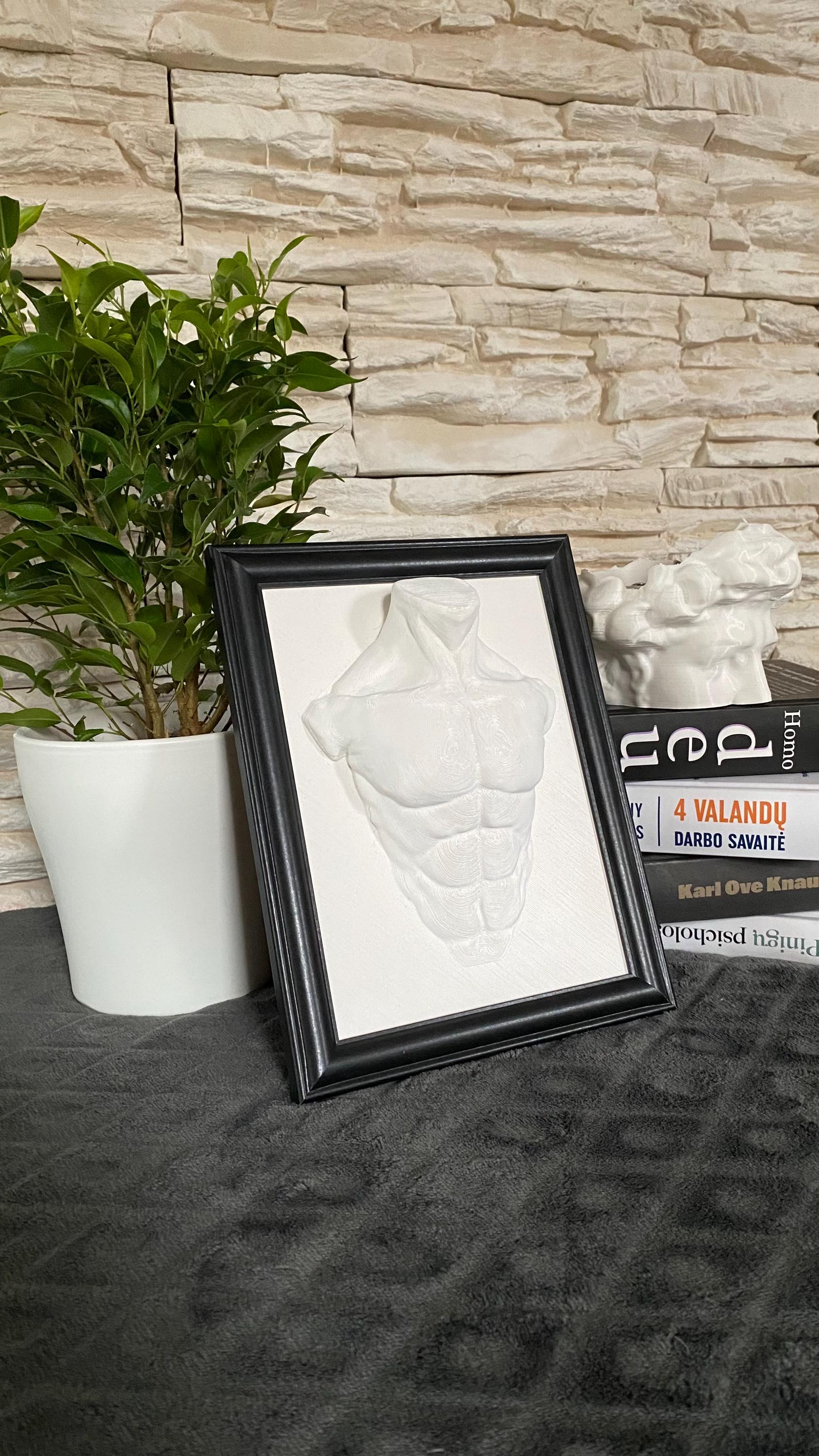 Framed Male Torso Wall Art / 3D Printed