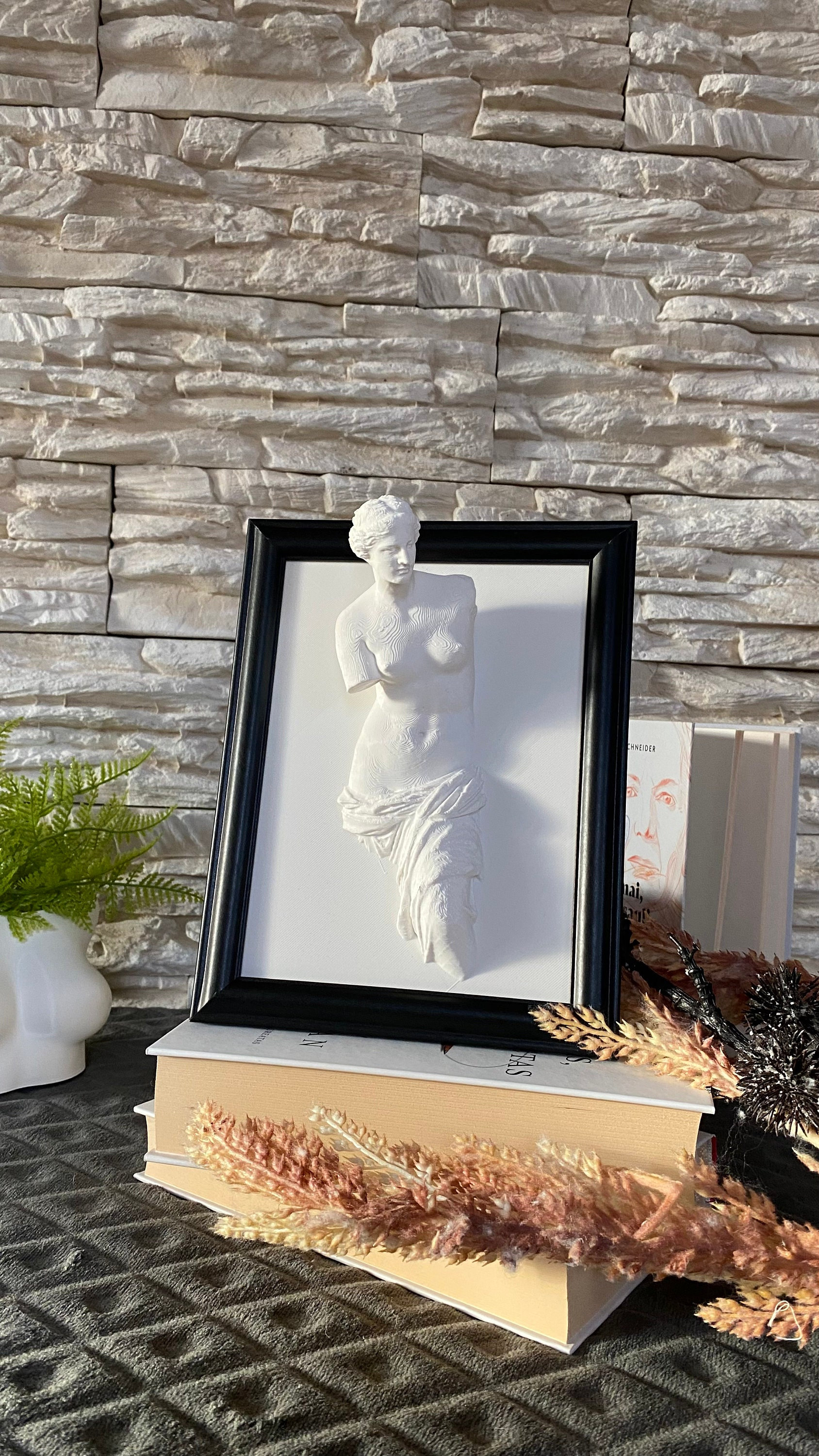Framed Venus de Milo /  3D printed