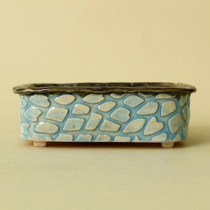 多肉植物用鉢 - 15.5 x 12.5 x 5 cm (6.1インチ)