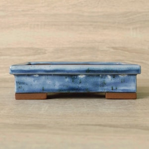 Bonsai pot - 15.5 x 12.5 x 4 cm (6.1 inches)