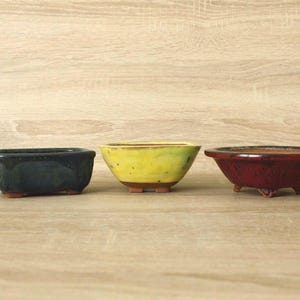 Macetas para bonsái Mame: azul - 10,5 x 7,5 x 4 cm, amarilla - 10,5 x 10,5 x 4,5 cm, roja - 12,5 x 4 cm (4,1 - 4,1 - 4,9 pulgadas)