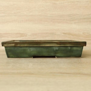 Peut inclure: Un pot à bonsaï rectangulaire en céramique verte avec un bord marron foncé. Le pot a un profil bas et est conçu avec de petits pieds. L'arrière-plan est un grain de bois clair.