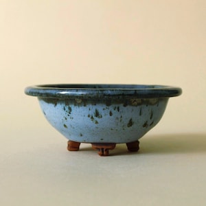 Bonsai pot - 12 x 4.5 cm (4.7 inches)