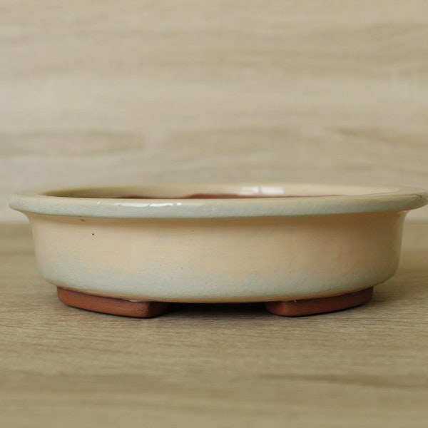 Bonsai pot - 16 x 4 cm (6.3 inches)