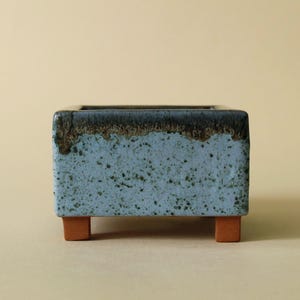 Succulents, bonsai pot - 10.5 x 10.5 x 7 cm (4.1 inches)