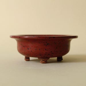 Bonsai pot - 14 x 5 cm (5.5 inches)
