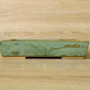 Può includere: Un vaso per bonsai rettangolare in ceramica smaltata in una tonalità verde tenue. Il vaso ha un profilo basso con una forma leggermente svasata e poggia su due piccoli piedini non smaltati. La superficie presenta sottili variazioni di colore.