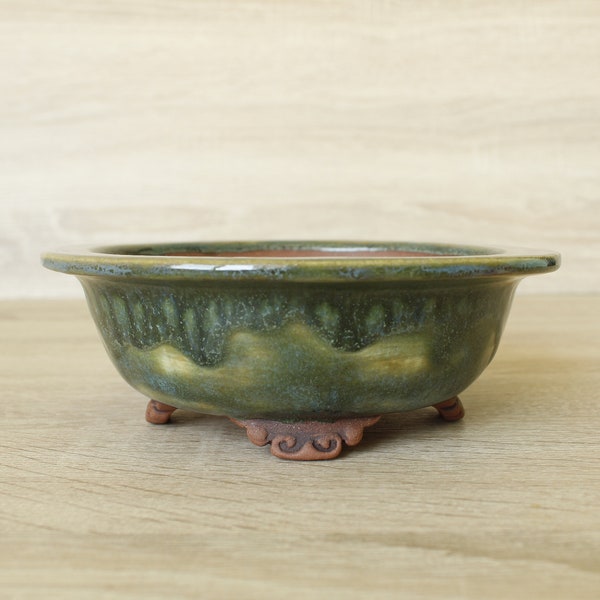 Bonsai pot - 16 x 5.5 cm (6.3 inches)