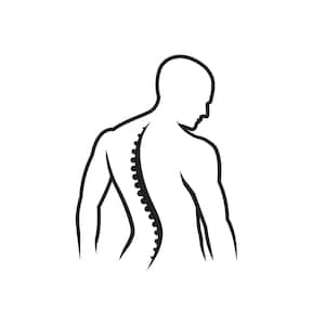 Spine 2/ Photographer / dslr SVG / SVG Cut File / Car Decal SVG / Instant Download / Printable vector clip art / Silhouette & Cricut