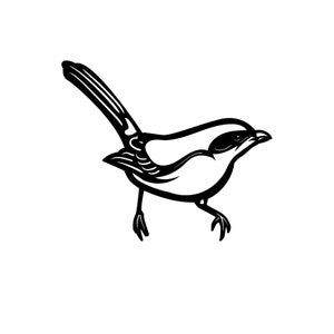 May include: Black and white line drawing of a bird with a long tail and a short beak. The bird is perched on a branch with its wings folded.